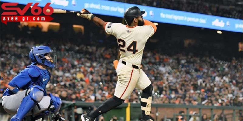 Cá cược bóng chày: Kinh nghiệm “đọc vị” kèo cược chuẩn 3 Các thuật ngữ trong cá cược bóng chày