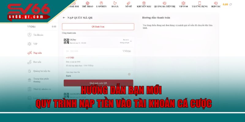Hướng dẫn bạn mới quy trình nạp tiền vào tài khoản cá cược